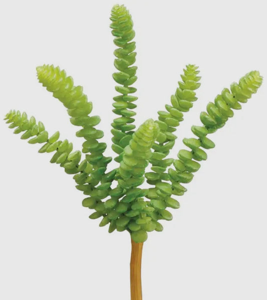 Soft Touch Burros Tail Succulent Plant Pick