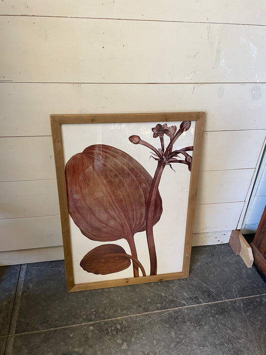 Wood Framed Botanical Print