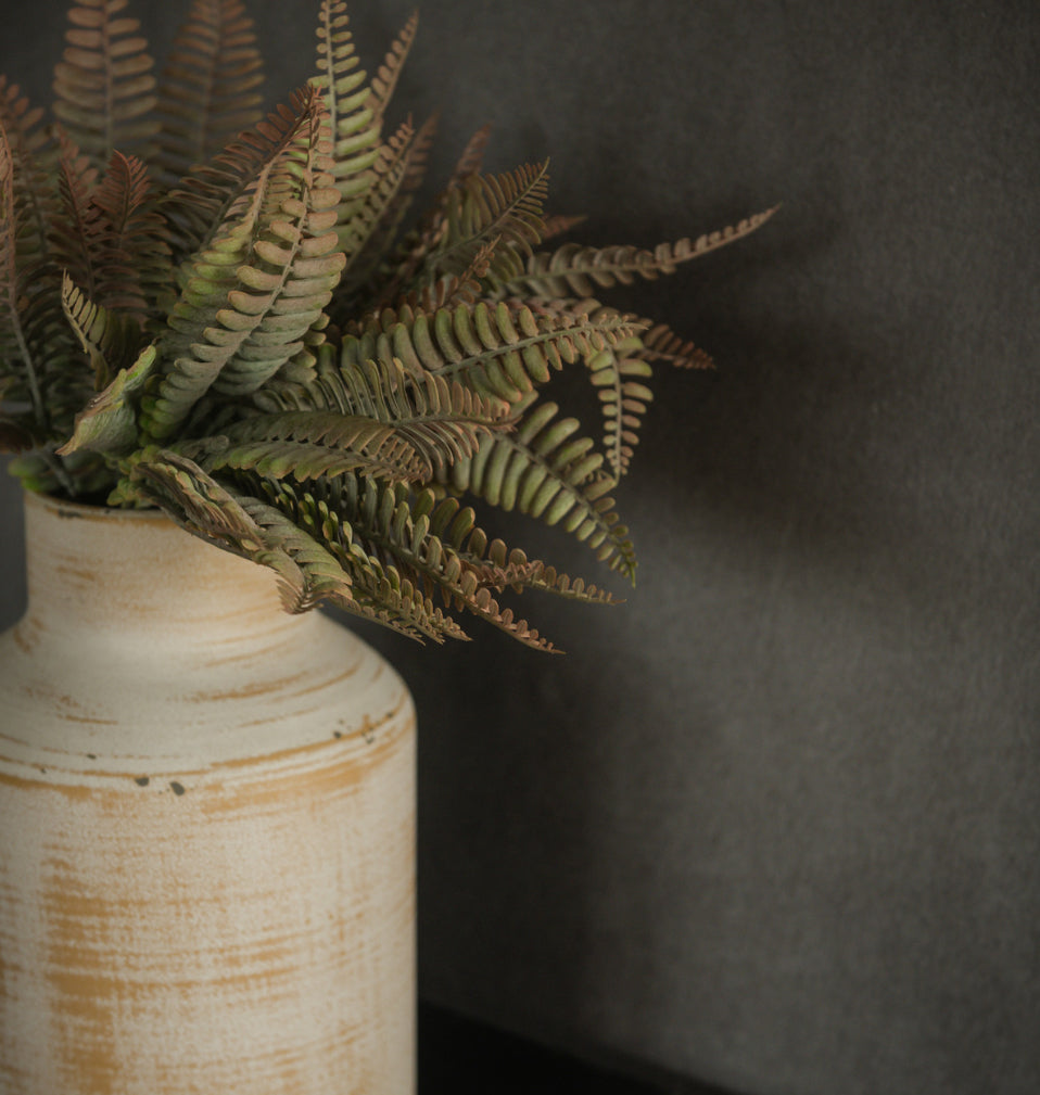 Rust Persian Fern Bush