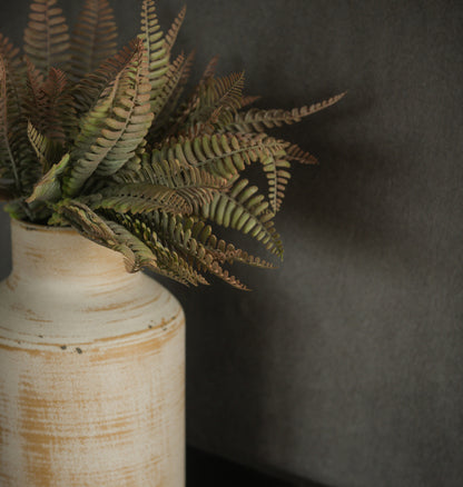 Rust Persian Fern Bush