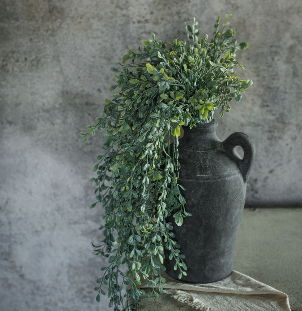 32” English Boxwood Hanging Bush