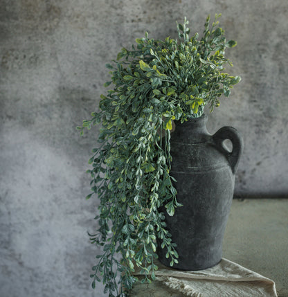 32” English Boxwood Hanging Bush