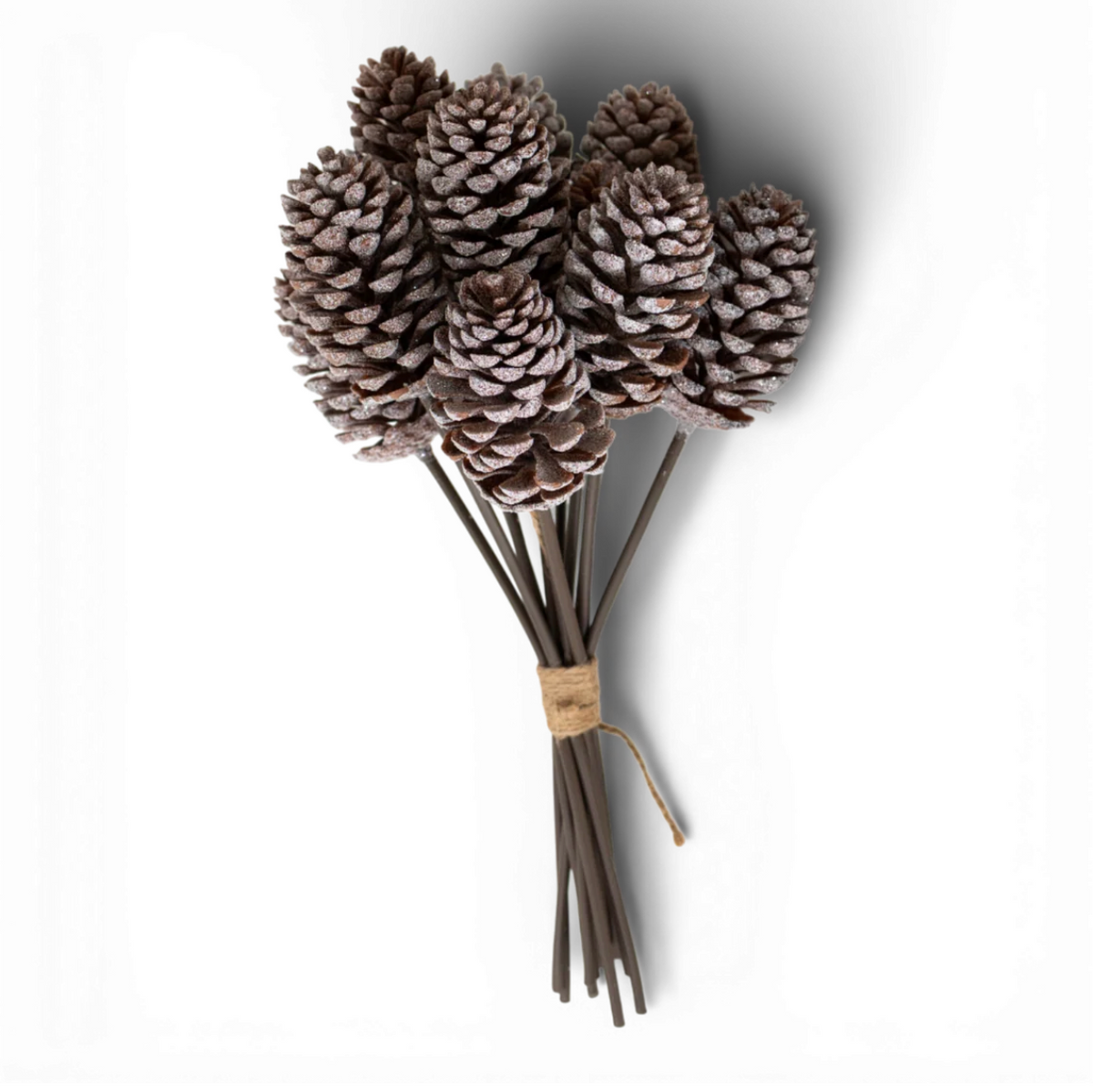 15.25” Pinecone Bundle