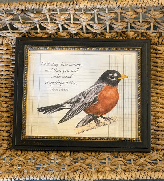 10” x 8” Watercolor Robin With Einstein Quote