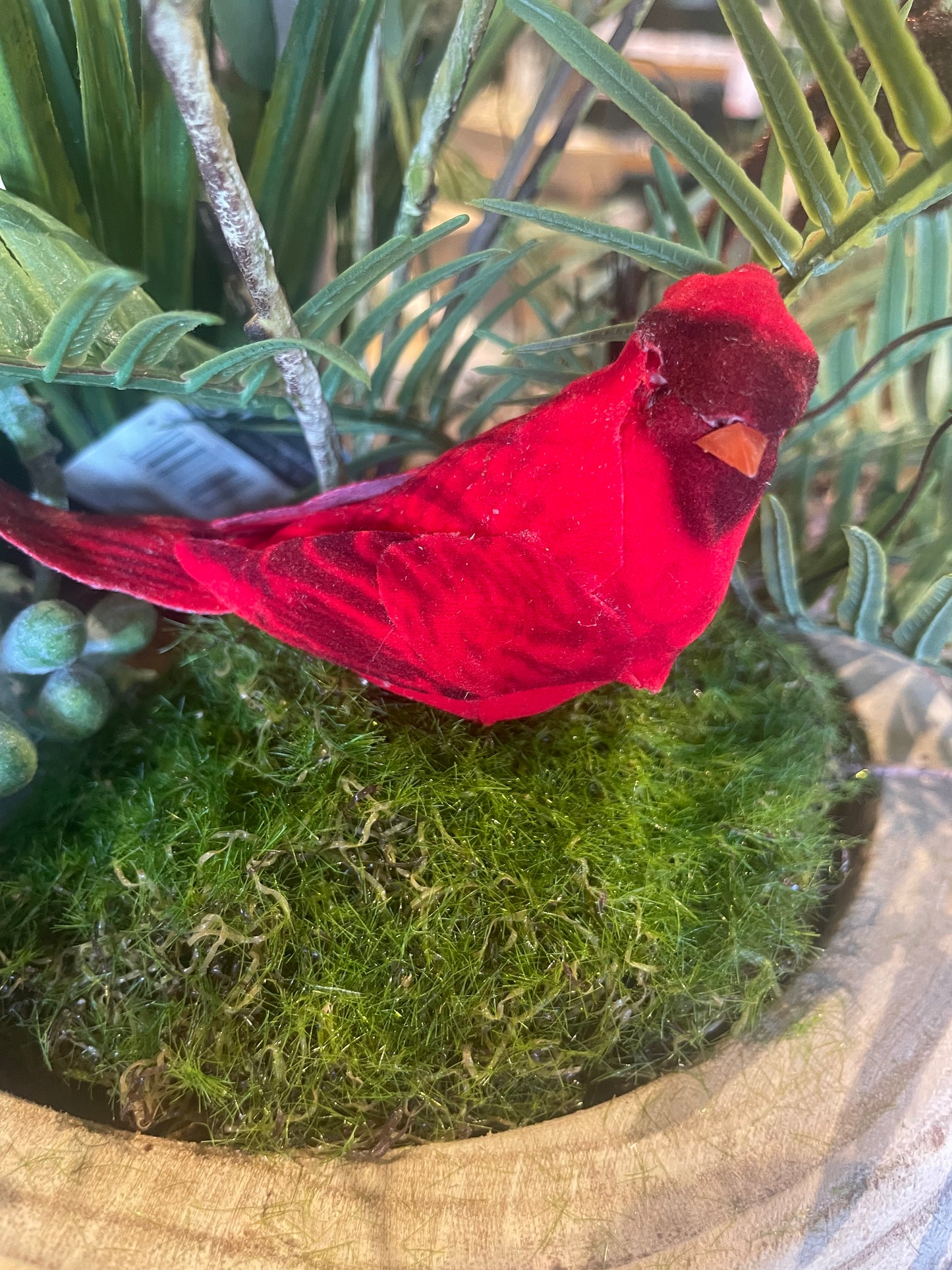 5” Red Cardinal