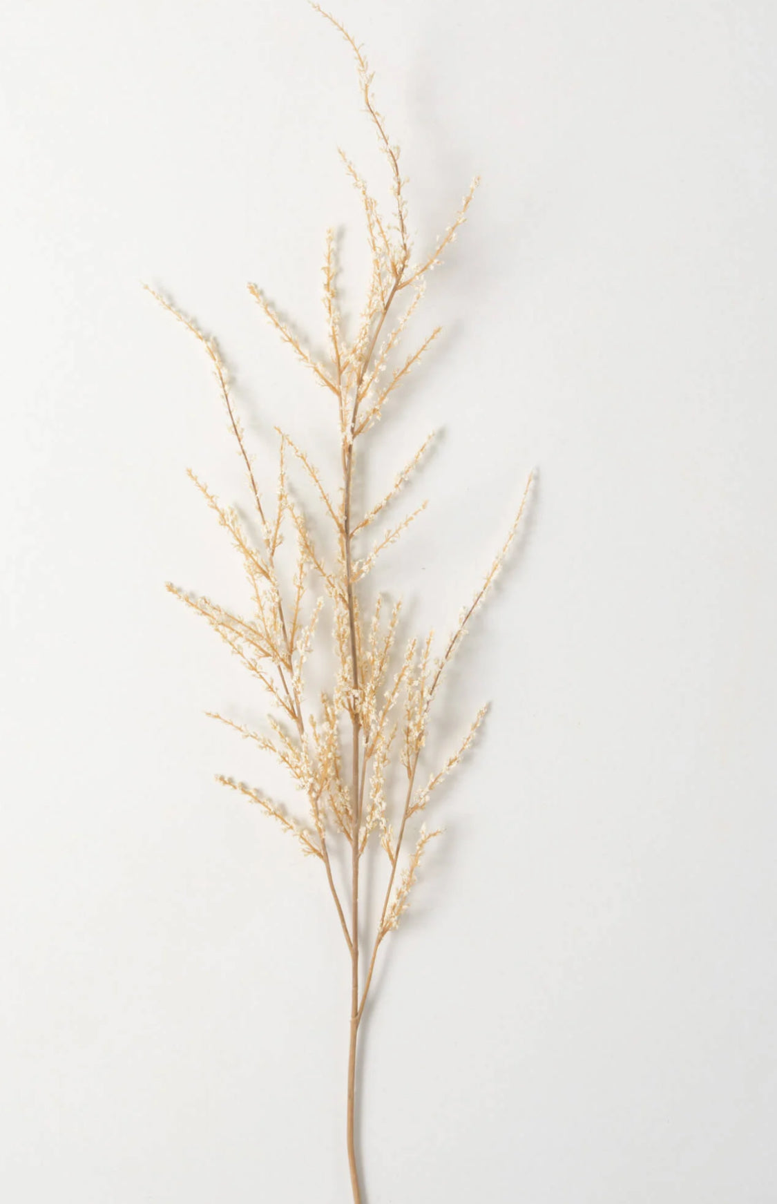 Spring Spirea Spray