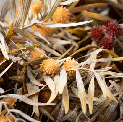 Fall Mixed Grass Bush-3 stems