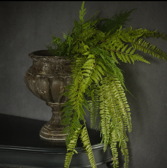 32” Lacey Fern Hanging Bush