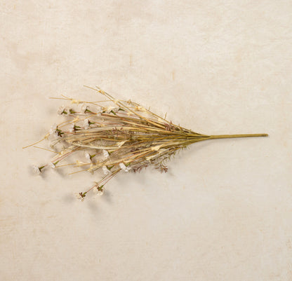 22” Cream Mini Daisy & Wild Grass Bush