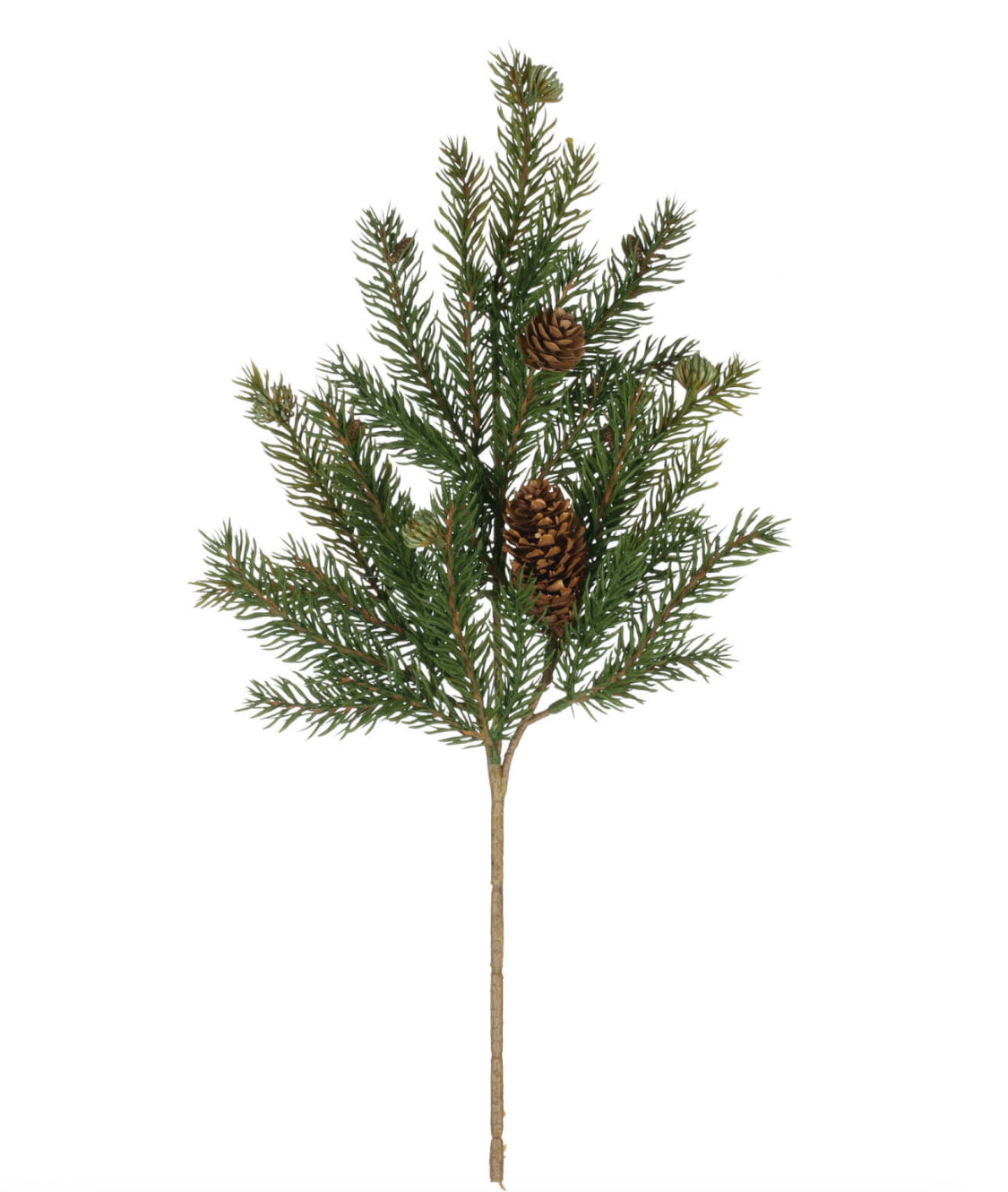 White Spruce Pick
