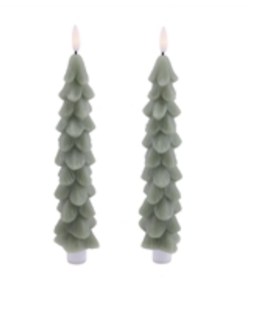 9.5”H Sage Fia WickTree Taper Candles