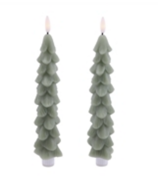 9.5”H Sage Fia WickTree Taper Candles