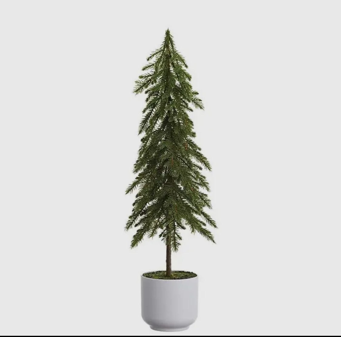 23” Potted Alpine Pine Tree