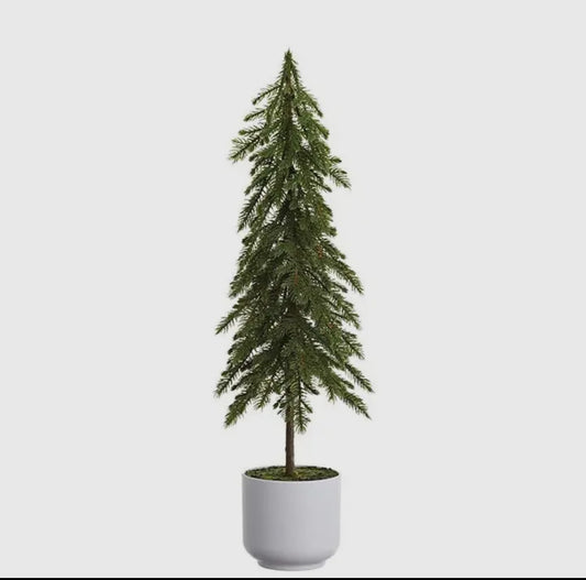 23” Potted Alpine Pine Tree