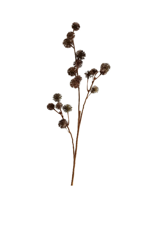 32.25” Brown Seed Stem