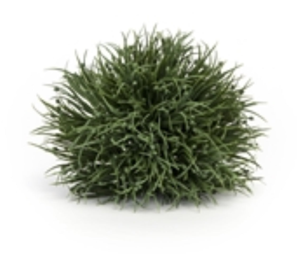 6” Grass 1/2 Orb