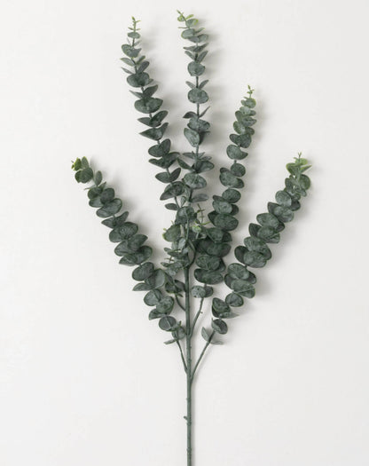 Eucalyptus Spray