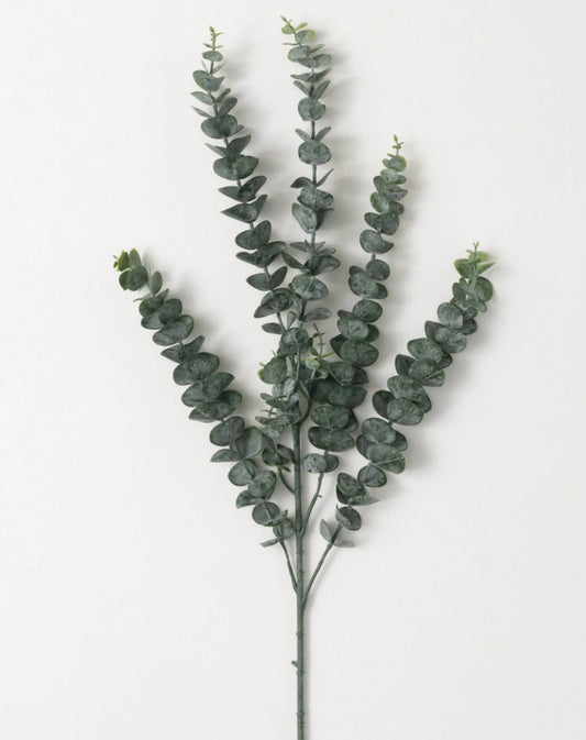 Eucalyptus Spray