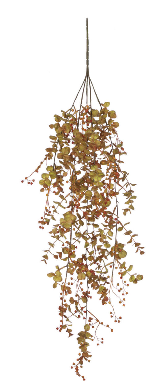Fall Eucalyptus Vine