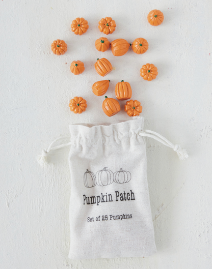 Resin Orange Pumpkins in a Printed Drawstring Bag