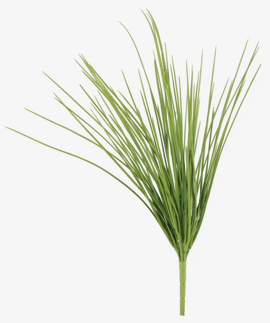 20.47” Grass Bush