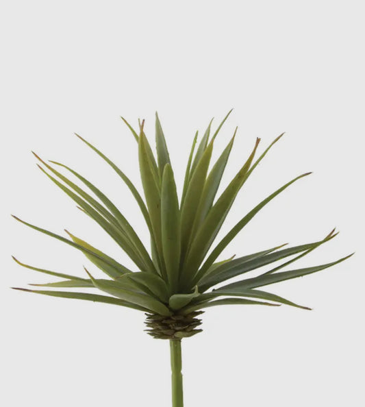 6” Mini Yucca Pick
