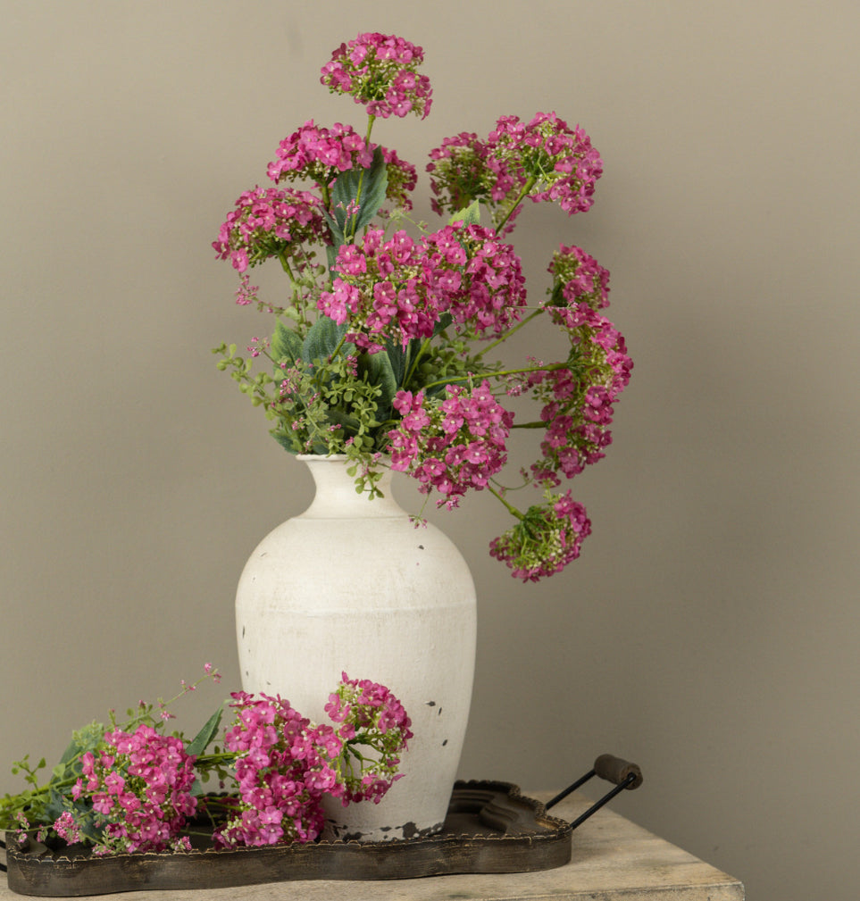20” Pink Wild Hydrangea Bush