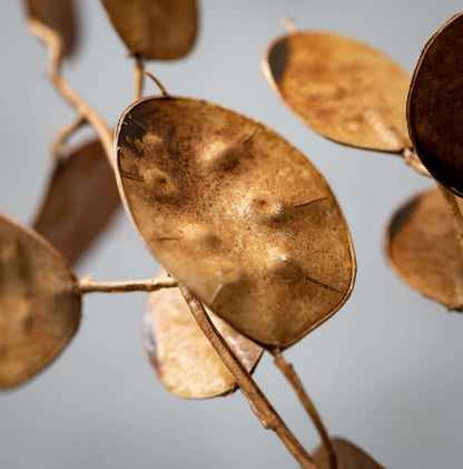 Faux Dried Brown Linaria Spray