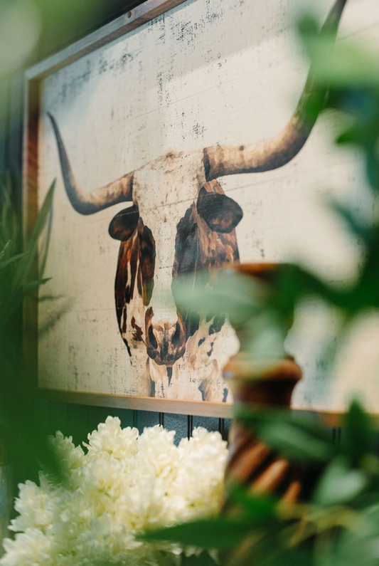 34”x16” Longhorn Whitewash