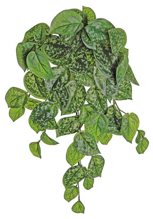 Ghost Leaf Bush/Vine X8, #FL4229-GGY