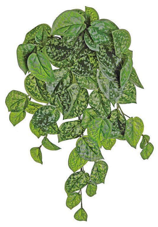 Ghost Leaf Bush/Vine X8, #FL4229-GGY