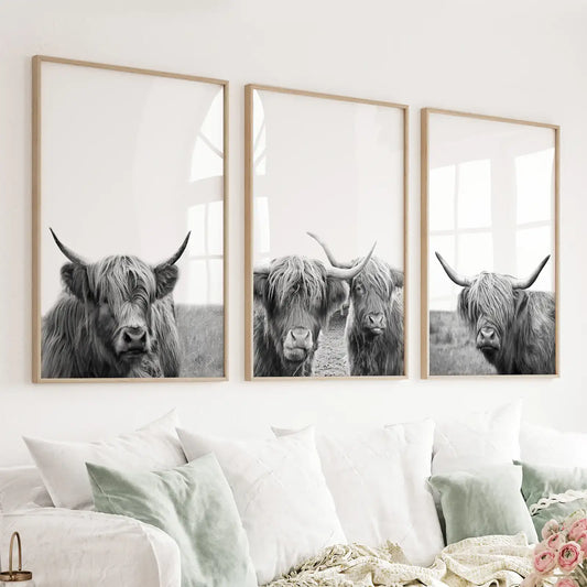 8” x 10” Black White Highland Cow Photo. Farm Animal Print-Sold Separately-No Frames