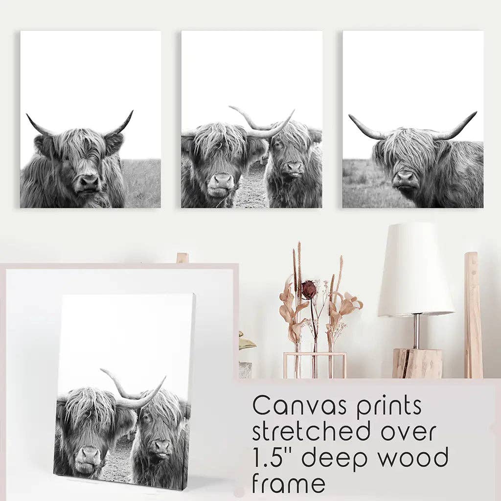 8” x 10” Black White Highland Cow Photo. Farm Animal Print-Sold Separately-No Frames