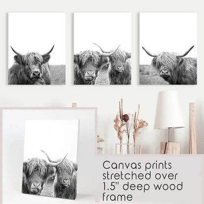 8” x 10” Black White Highland Cow Photo. Farm Animal Print-Sold Separately-No Frames