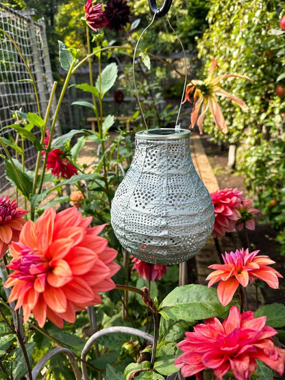 Stella Bulb 8" Solar Lantern - Sage