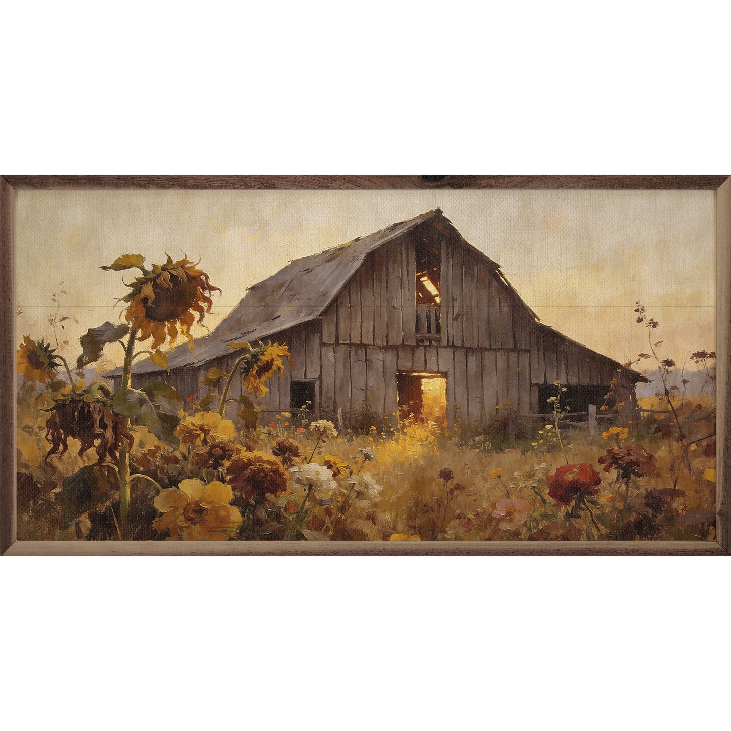 Weathered Barn In Sunflower Autumn Field