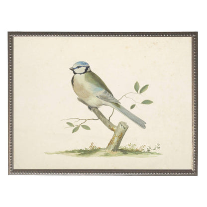 Vintage soft bird illustration G on distressed background