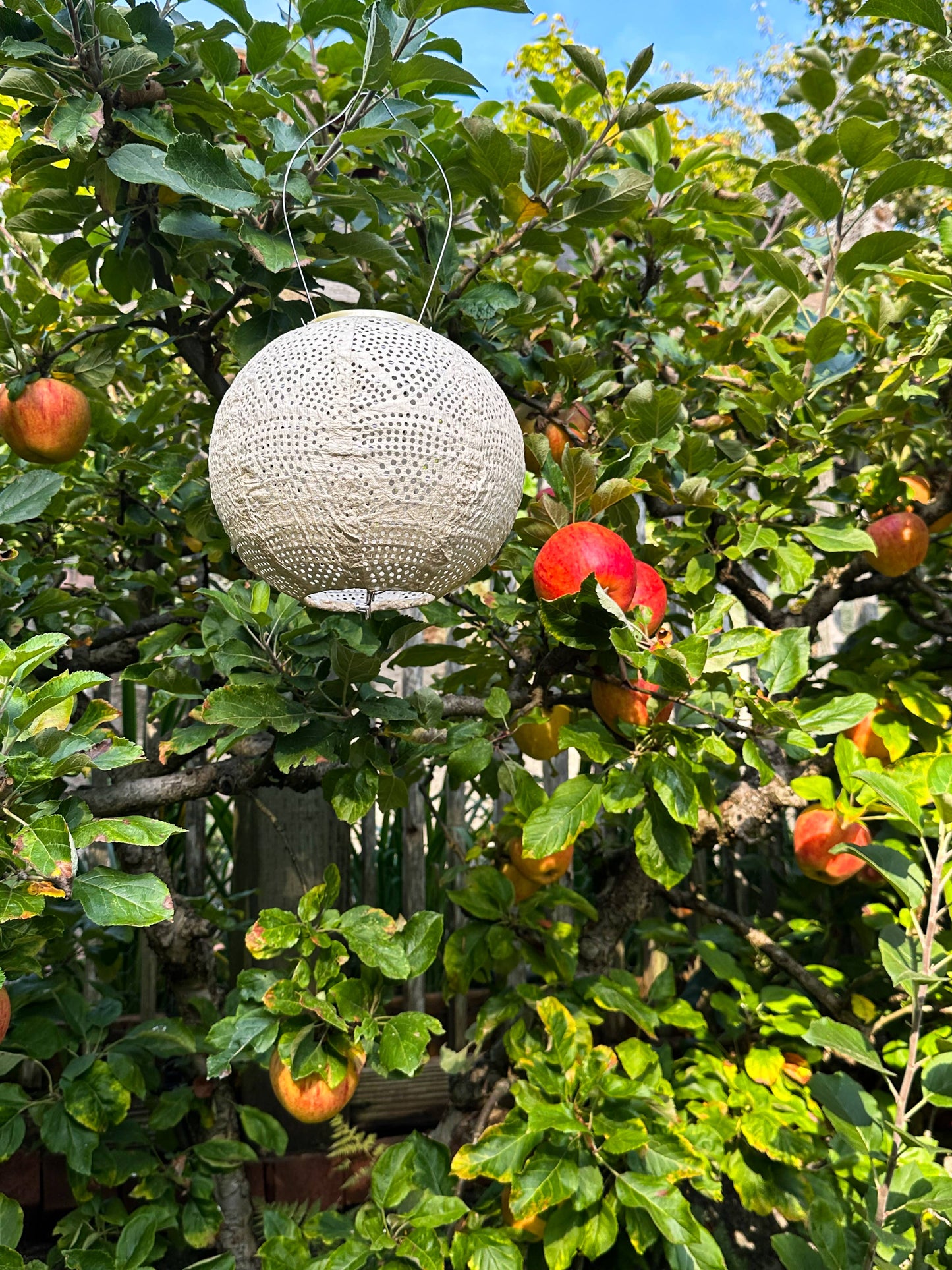 Stella Globe 8" Solar Lantern - Pearl