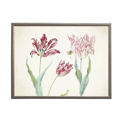 10” x 8” Vintage tulip J bookplate on a distressed background
