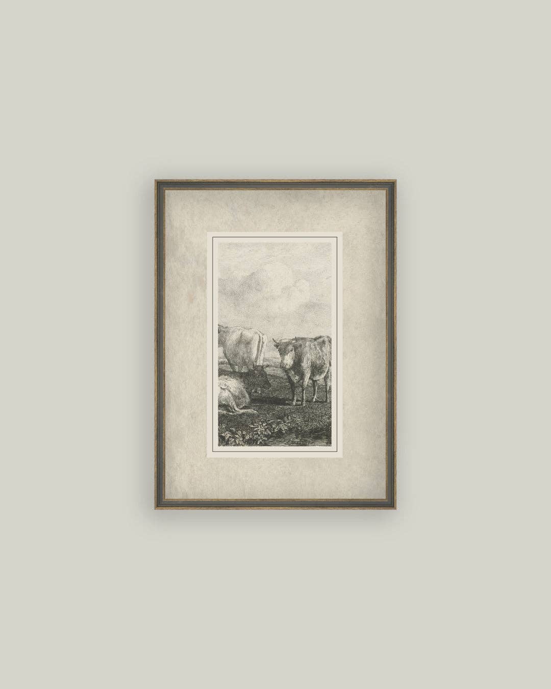 Cattle Sketch