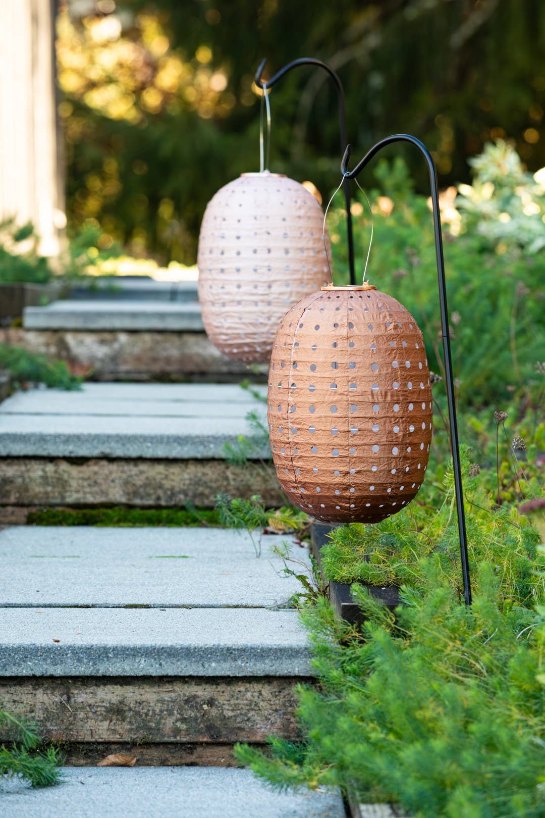 *NEW* Stella Swiss Dot 14" Barrel Solar Lantern -  Copper